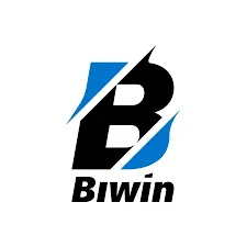 BIWIN - Game Domino Seru dan Mengasyikkan